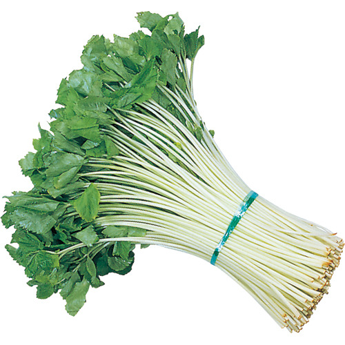 2941gV80EtwKCxyZDQIOeosW.jpg