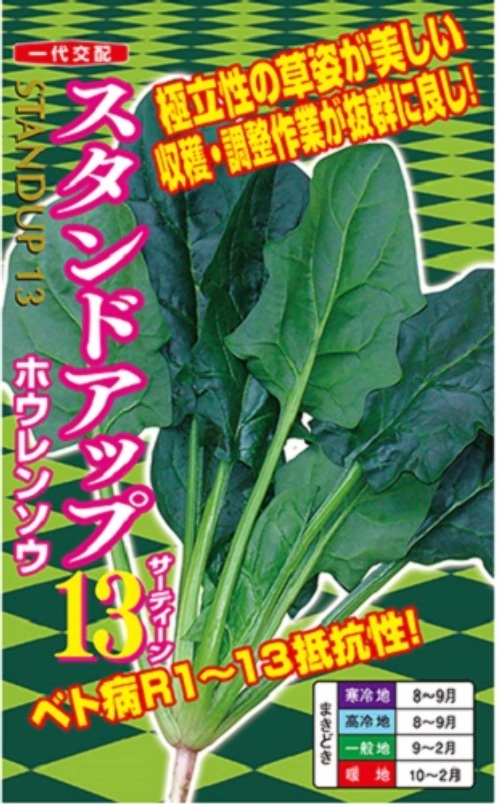 2ZzQm076T3twAWuJCkIGiopS.jpg