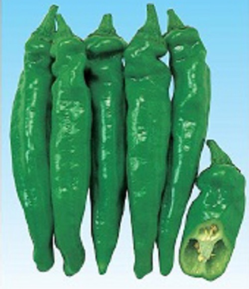 2l7h89MUL3b1cBwE5joCadrA.jpg