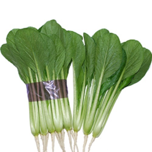 2viEO398y1BJL7hsNWu6FVAD.jpg