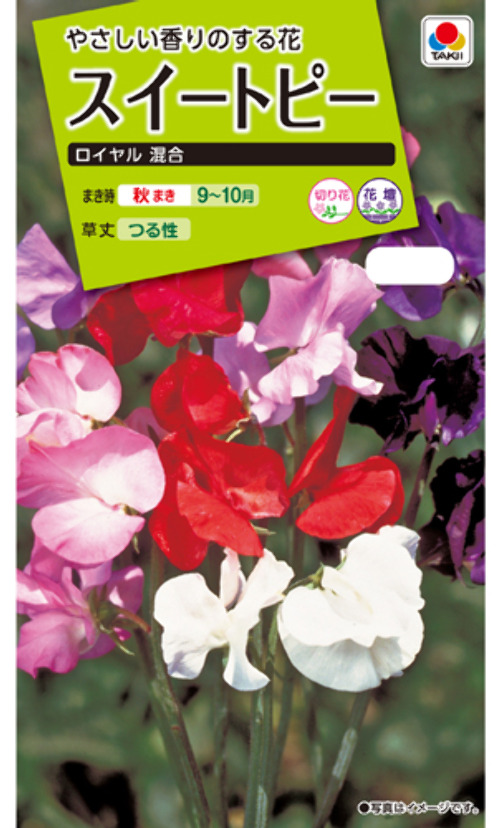 2yUe0K8M36XsNDF7piSOQJq9.jpg