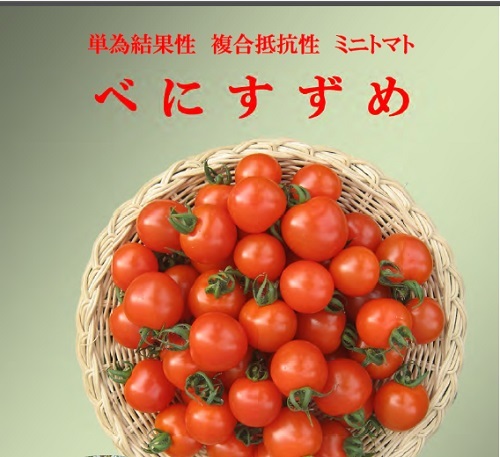 5T47EbPcjQrsYfedKx9W6vhR.jpg