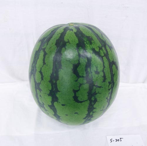 6T8gMkvqil9a2oXOCQJ1brVK.jpg