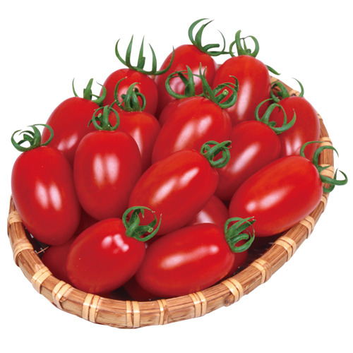 6i7mqMBhQnF48rLDaW1PONvT.jpg