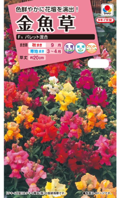 6u0ehPJpDVM4fCOFKs53zHU1.jpg