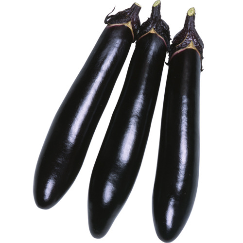 8NeE9ZtoAg0OHMrufpGm25J6.jpg