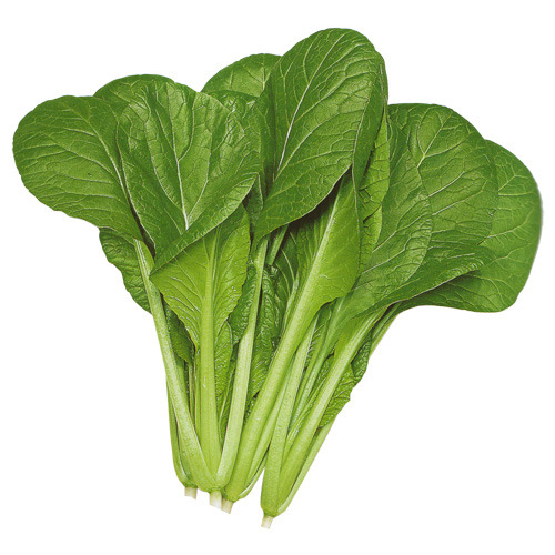 8XbZDTRMsx96dy0OVljS2o7N.jpg
