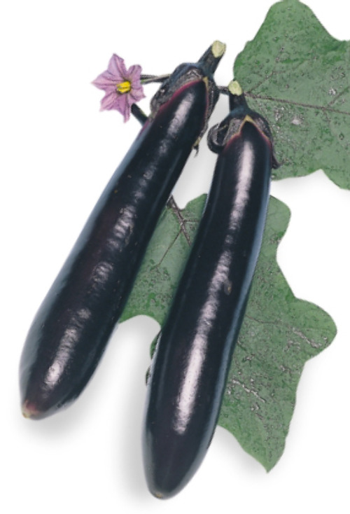 8c3YHTL7Srf6y0vG19OJBCXl.jpg