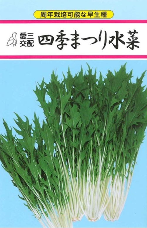 8gnBD9r5UHfzGNoT06Aa3vKR.jpg
