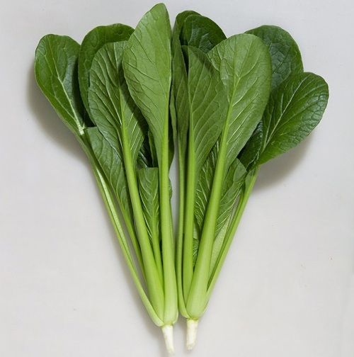 8k9KYv760D3QiAlOEWbhgMyJ.jpg