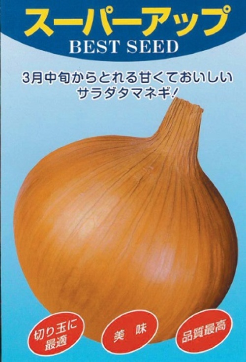 9IQrM41zUHgWoLFPlc2vC3Zb.jpg