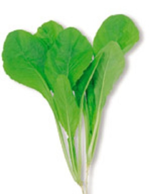 Cd53Y2KvxPqkELp41c6O7esX.jpg