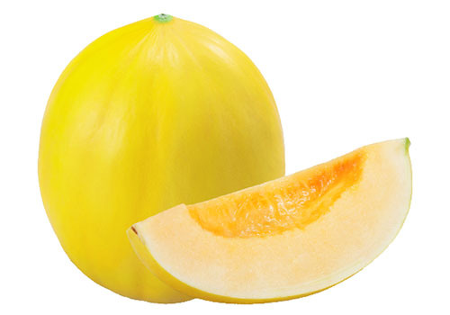 E7u4GzpcH0ZkS8jhyOM3el2o.jpg