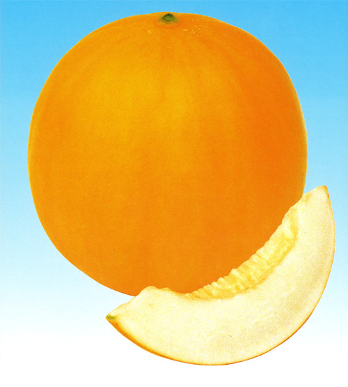 Efk1C8q0eSrcNKuRn5I3dZ9M.jpg