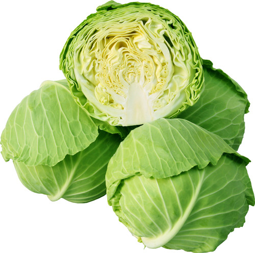 ElAQ6D1G5jzihg3dNqIFer8n.jpg