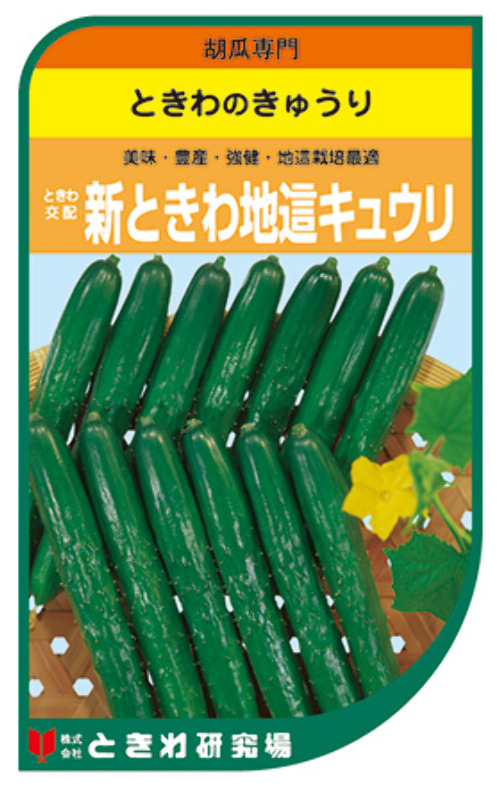 GQzlqB3rSx5Y807augTFUiwf.jpg
