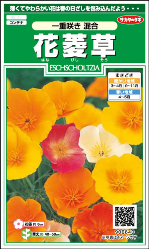 H5fsaTF3DvtX8EcZe4NSr9By.jpg