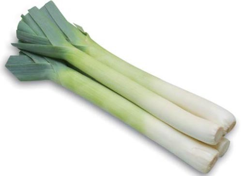 I9LCFng2cmTdiPrHx4QYq8N1.jpg