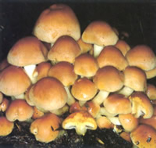 KTXwLf7DEd0npJg35xW64hoC.jpg