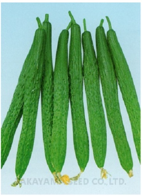 PX1WzTvL2Flpa0CSjIO9H3EG.jpg