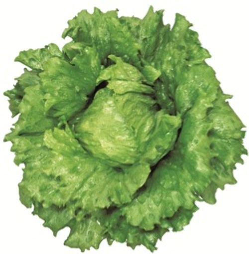 PvumQlUaz2sp8WoTYw1S3eCO.jpg