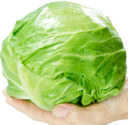RP3LhkNZ6mJ4Sn7rOU28u9yF.png