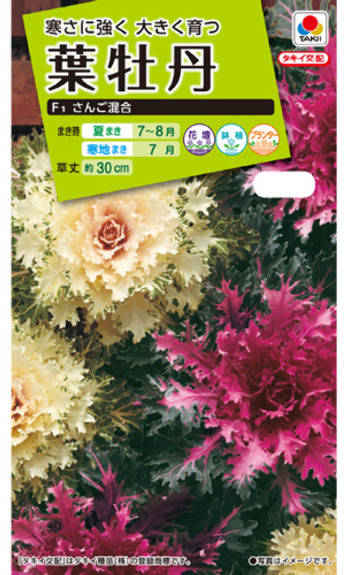 S4hCB5AucDKt3lFmv8dLa6kg.jpg