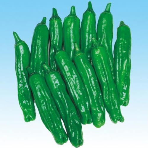 SjaWM065Ee8J4BNLp1I7AV2l.jpg