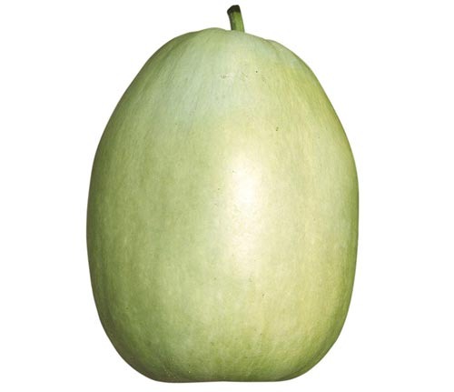 T3AZ4EIxi0XrGlfMY1ycOw8U.jpg