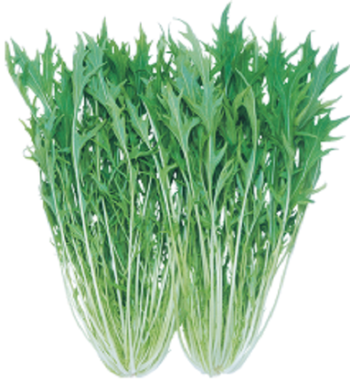TNFYnwEkD159pUO6mi0783Hj.png