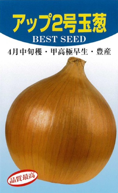 U3TsjFnGKPlYAHgXV6eZNmMQ.jpg