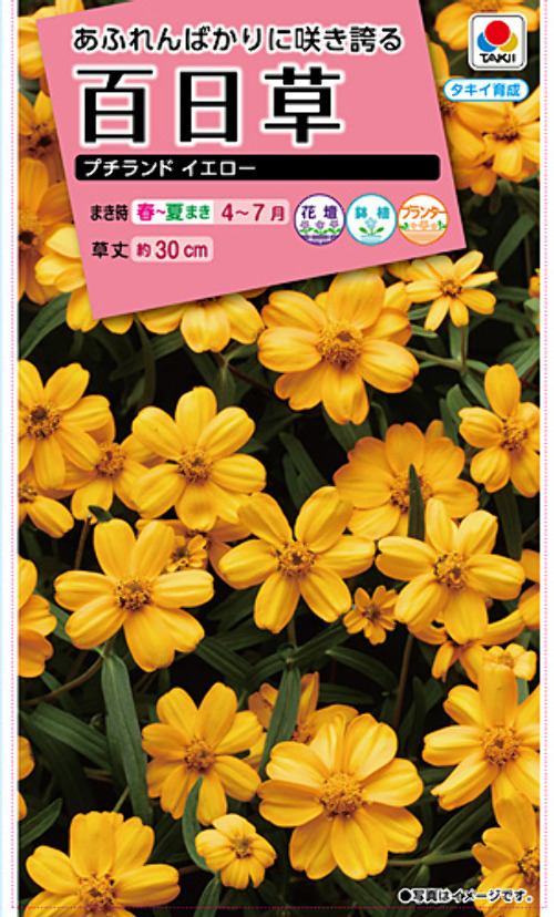 U9wDrR56Mpj7zIA31ys0d28L.jpg