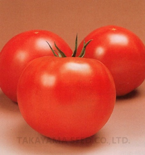 Umo7CnsSI2OK36LD8G4tj9qw.jpg