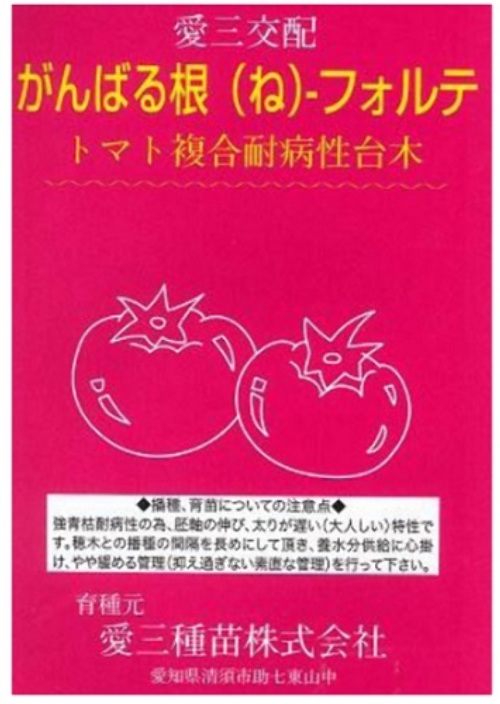 WjR3kzKDZVI4F2re079aUtSC.jpg
