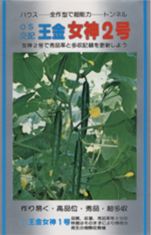 X87TPB54s0dknwGepS3KLvbM.jpg