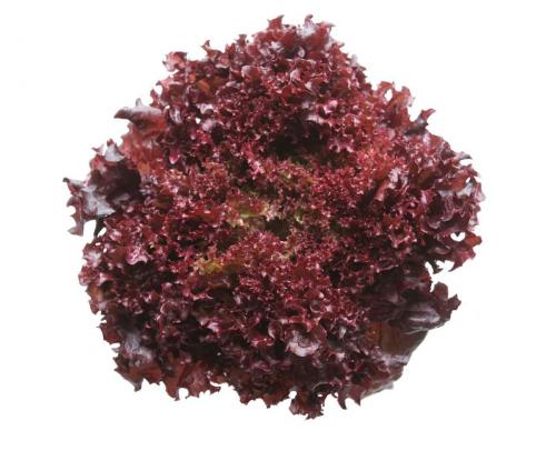 YXWNvj749CV1mainEBrpz2l8.jpg