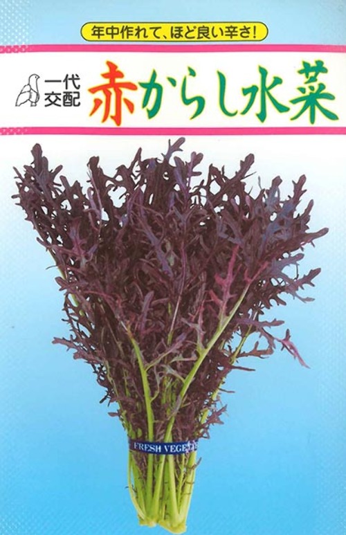 Yj9170Kk84oeNplVDzfXAQPO.jpg