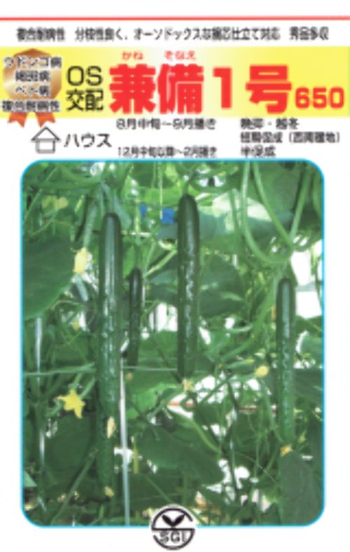 a1sXMF7Sm5E2pDNQr9ox0kCe.png