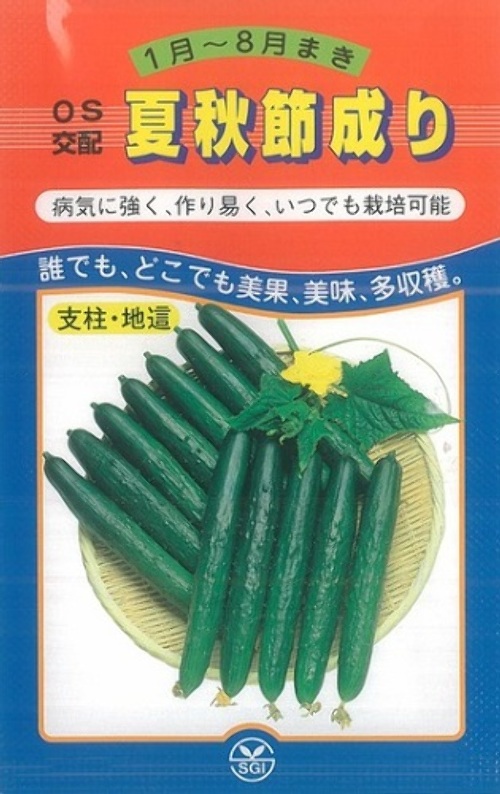 b3DH6hWsv97ZX852OEyApFR0.jpg