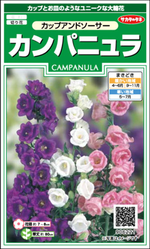 d8a4p35TJR1buUcZtxM9IfPm.jpg