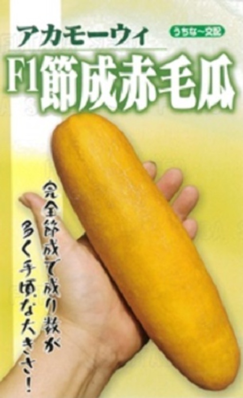 dq6EJ9C2PQzwHsyStU10M73A.jpg