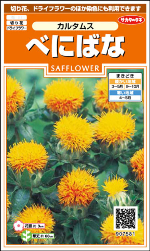 eB37u2HRhzx8MtJO690j5IrY.jpg