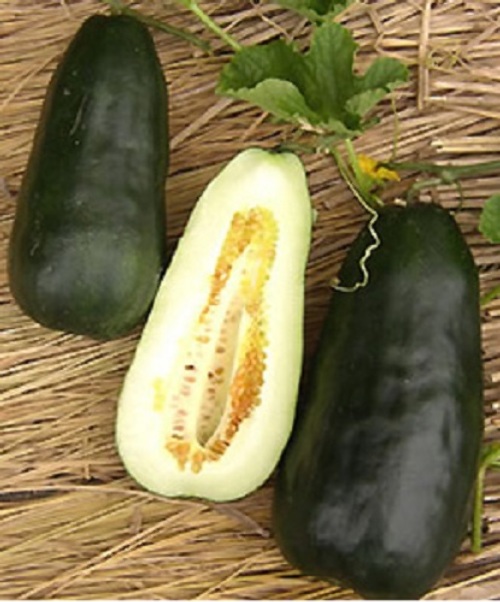 eiL7Zp49f8w3oOd5CmVQM1a2.jpg