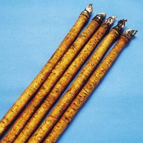 gOiNDZ6hLjfc39kmCzM715vV.jpg