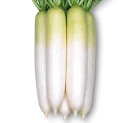 h6pP2ONj7EbCRemU0rfxdKia.gif