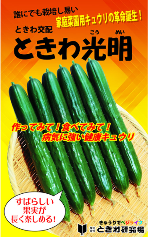 iQg4BfU6akw5zArm01lL82Zo.jpg