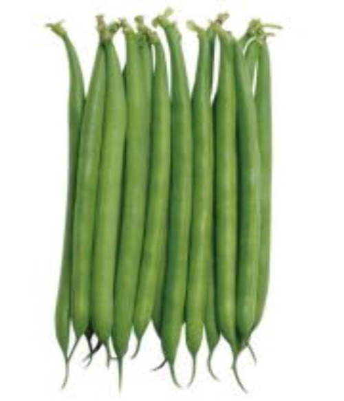 in4bYgztBFPI18p7S5RUdKaM.jpg