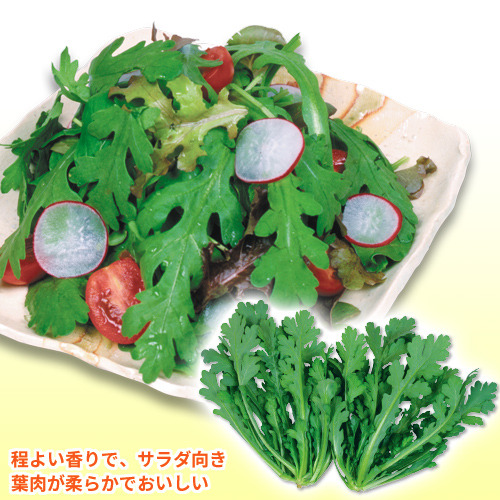 lMh5FS8p26qKuvx9Psc103W7.jpg