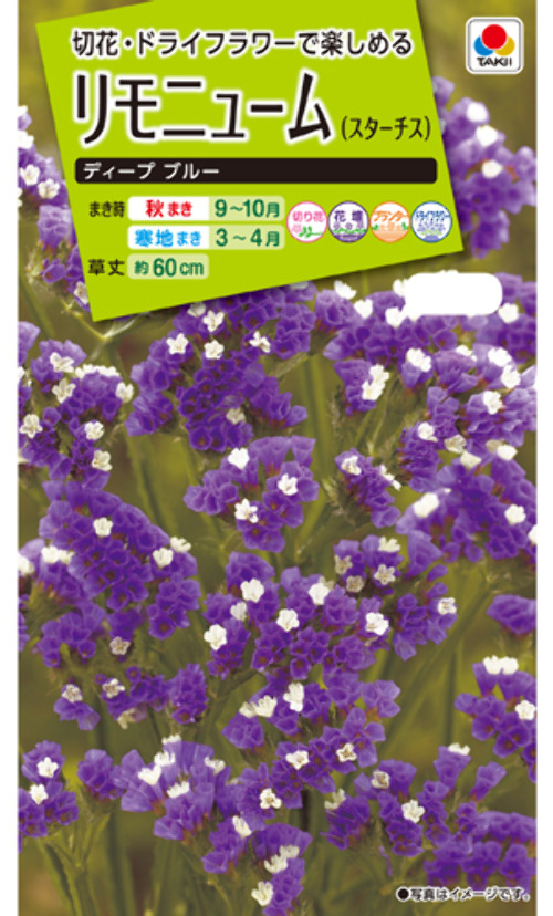 lN9uR5pX630Jf1iGsw7rSK8A.jpg
