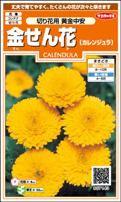 ls9K3WkR8gw1TEGAd76mrPZH.jpg
